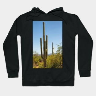 Weavers Needle Hoodie